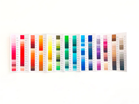 Color Card