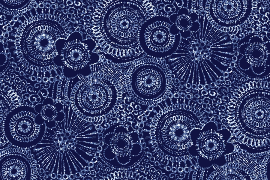 MASQB11460-N