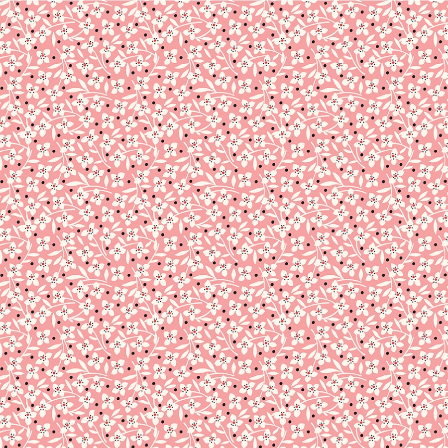 55362-2