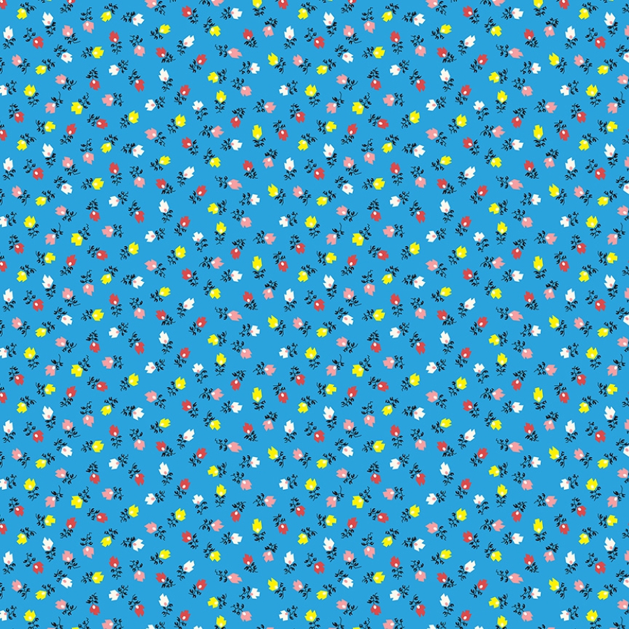 55365-3