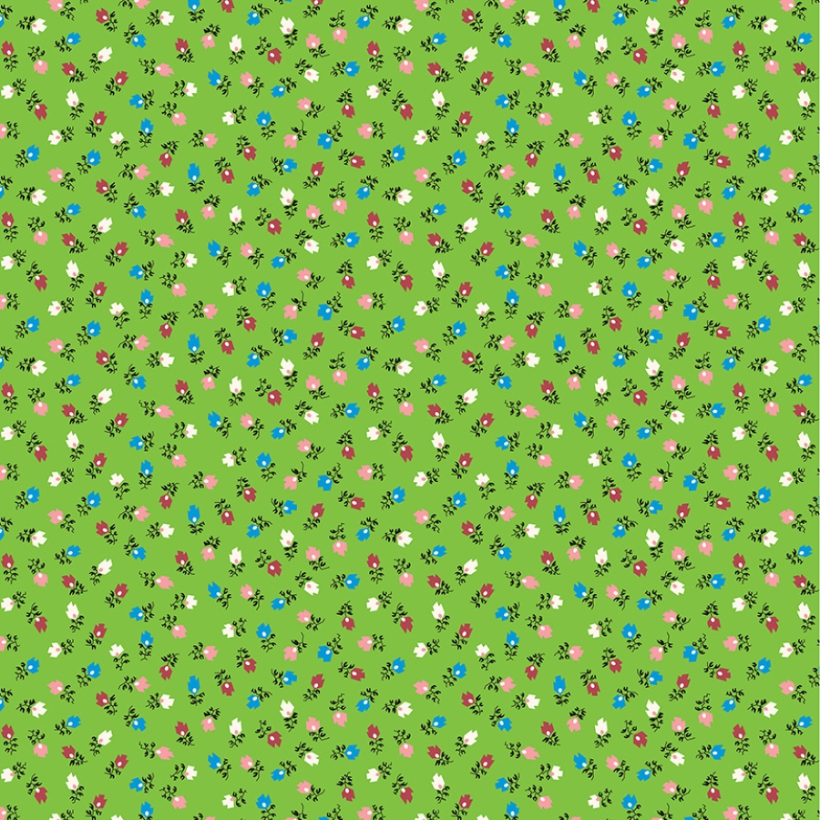 55365-4