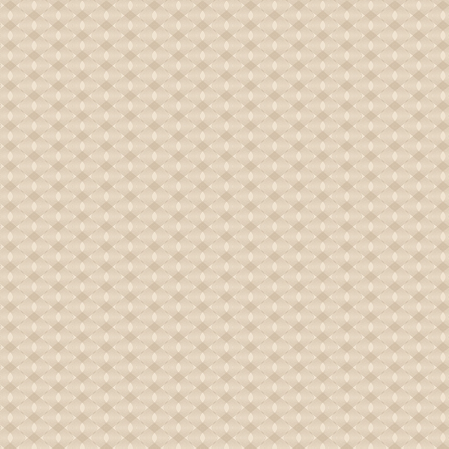 55525-4