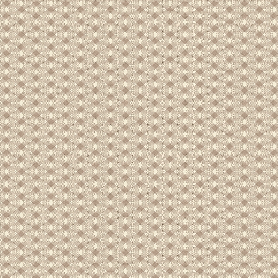 55525-6