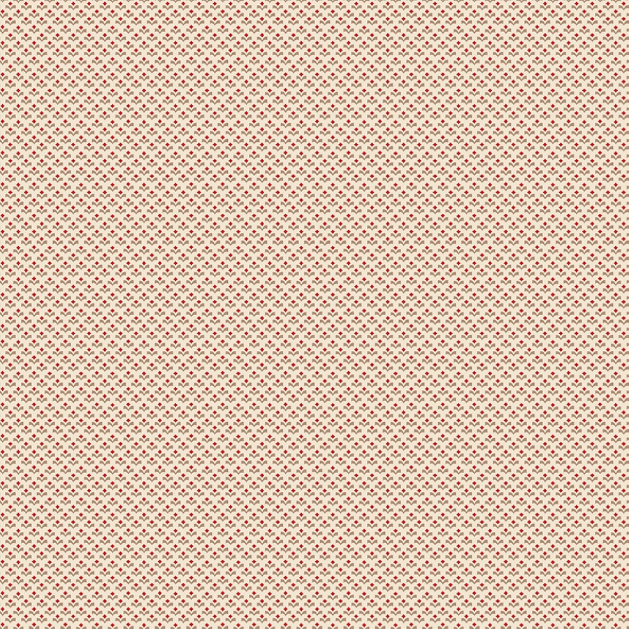 55526-2