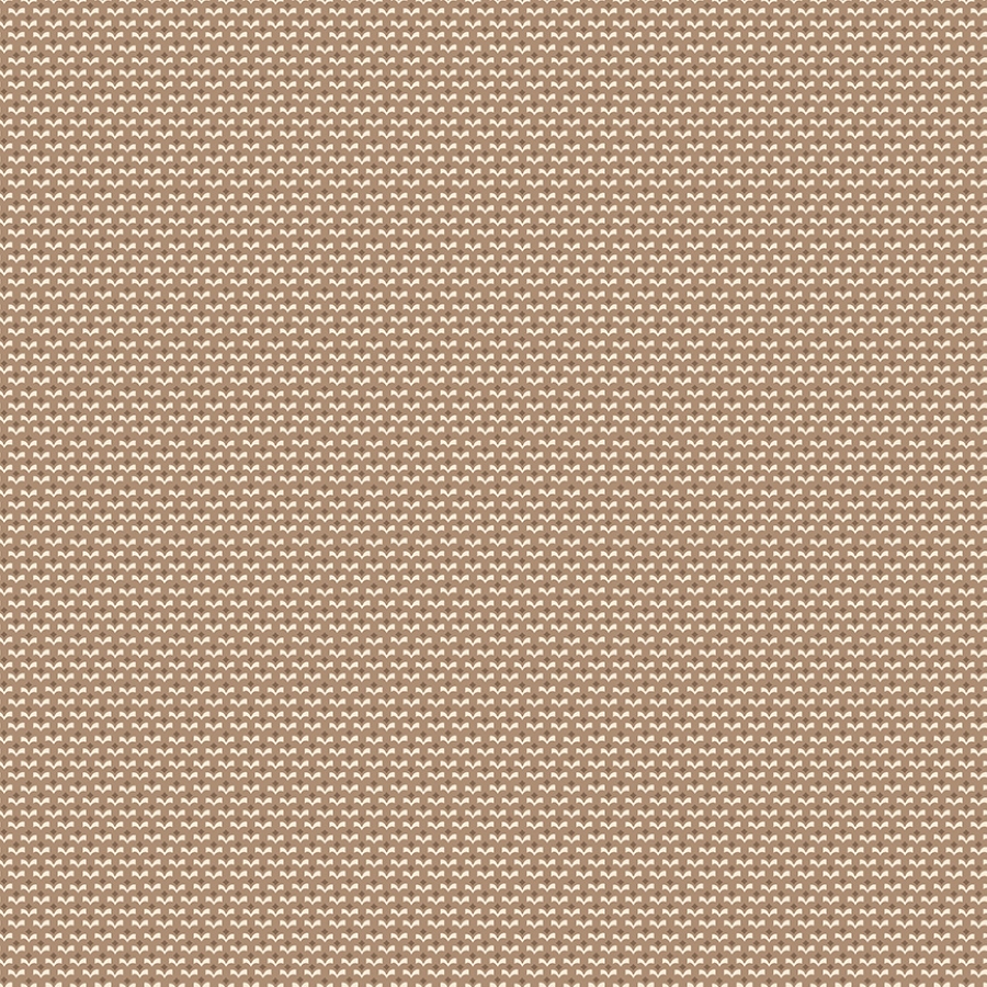 55526-5