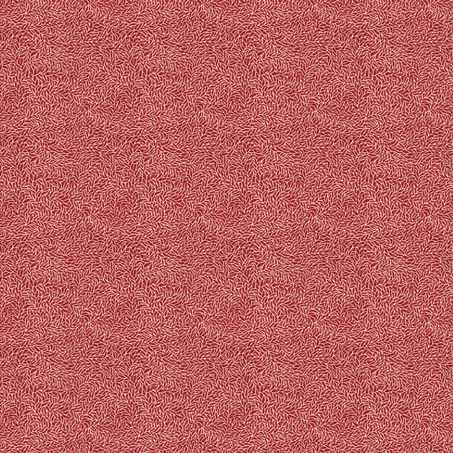 55527-1