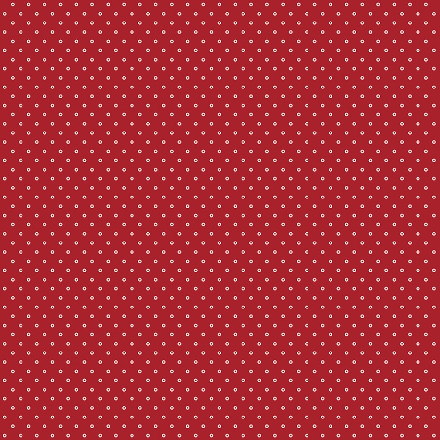 55528-1
