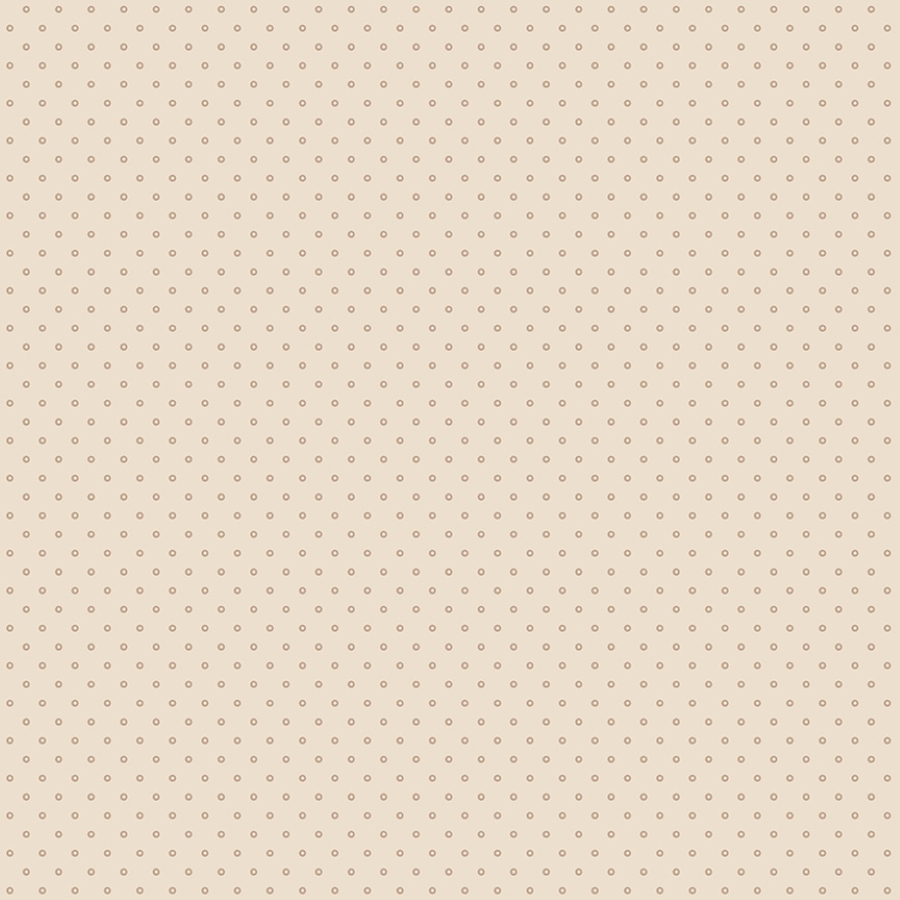55528-4