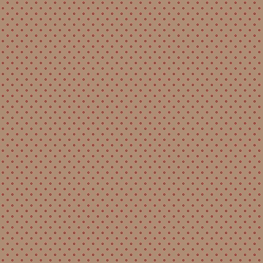 55528-5