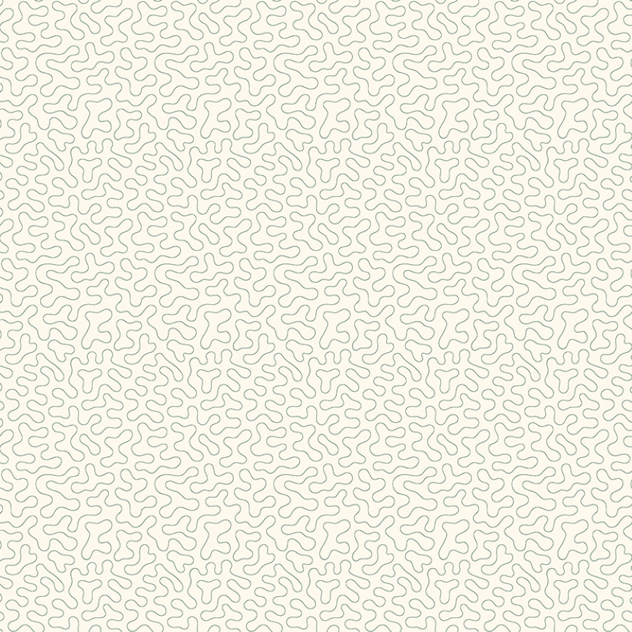 55537-19
