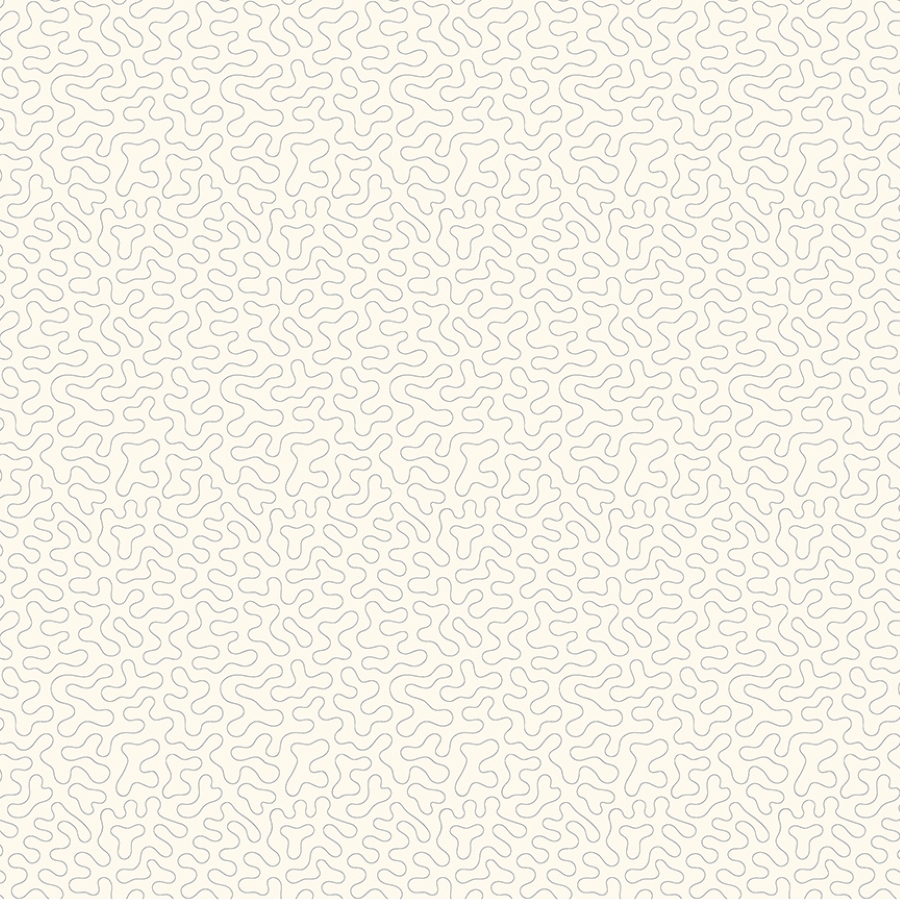 55537-6