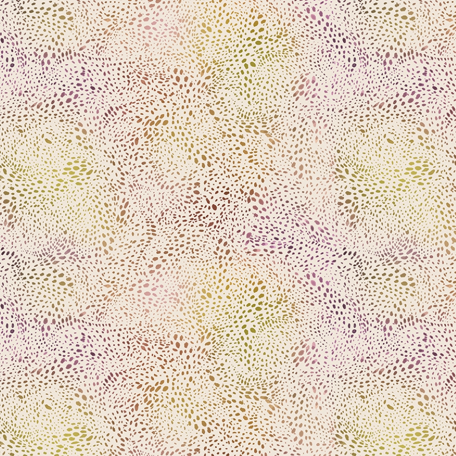 55568D-1
