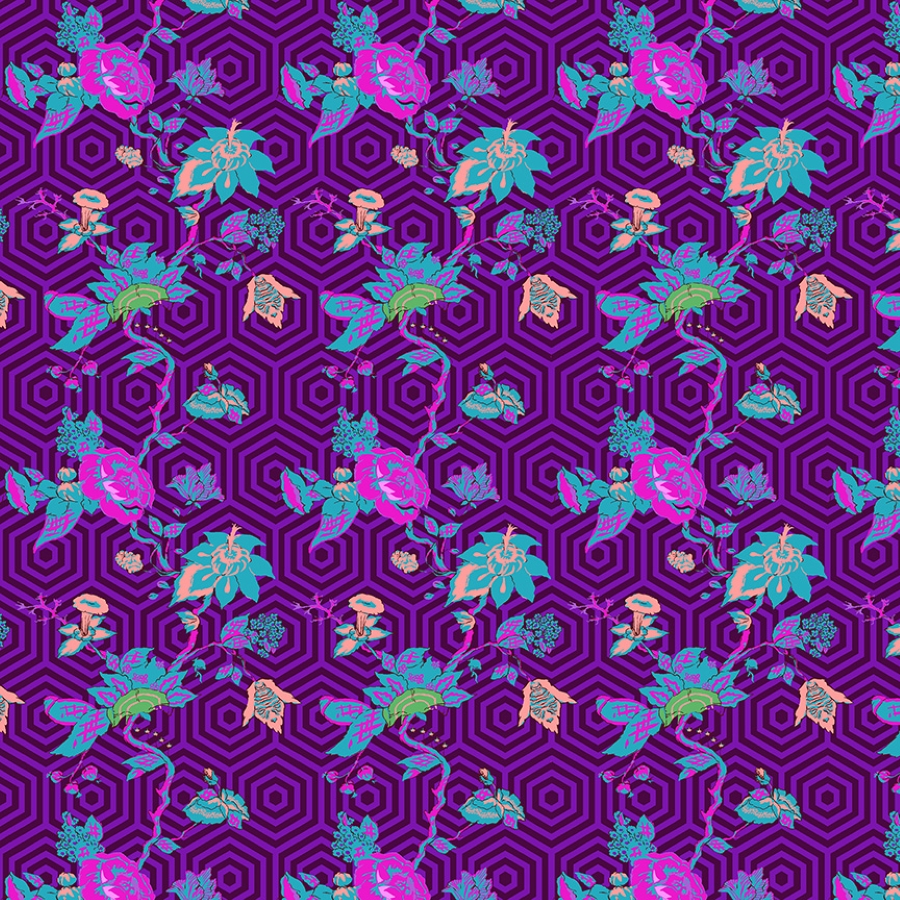55585-2