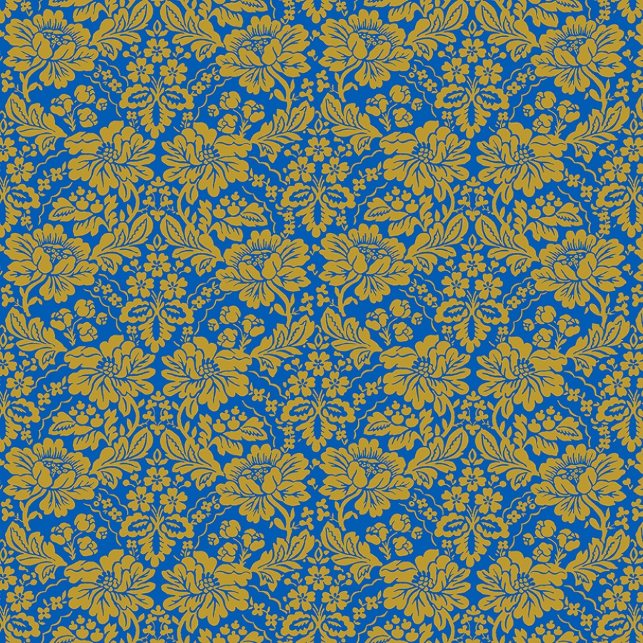 55587-7