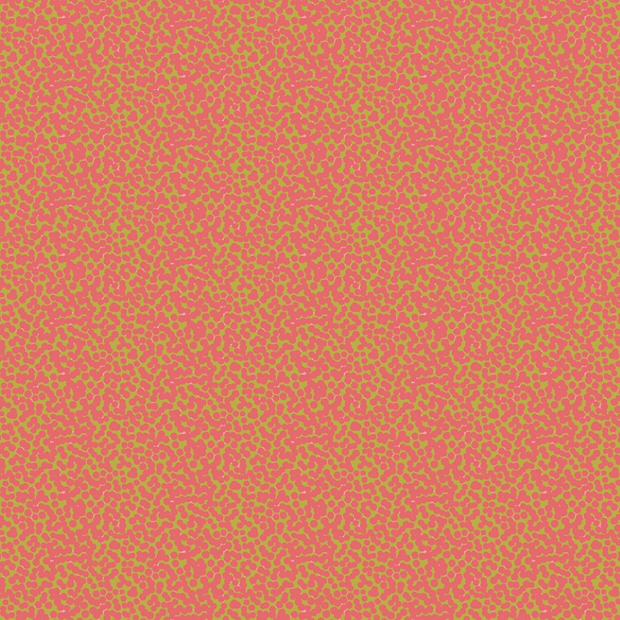 55589-4