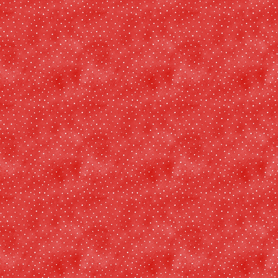 55618-13