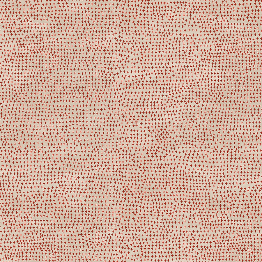 55651-6