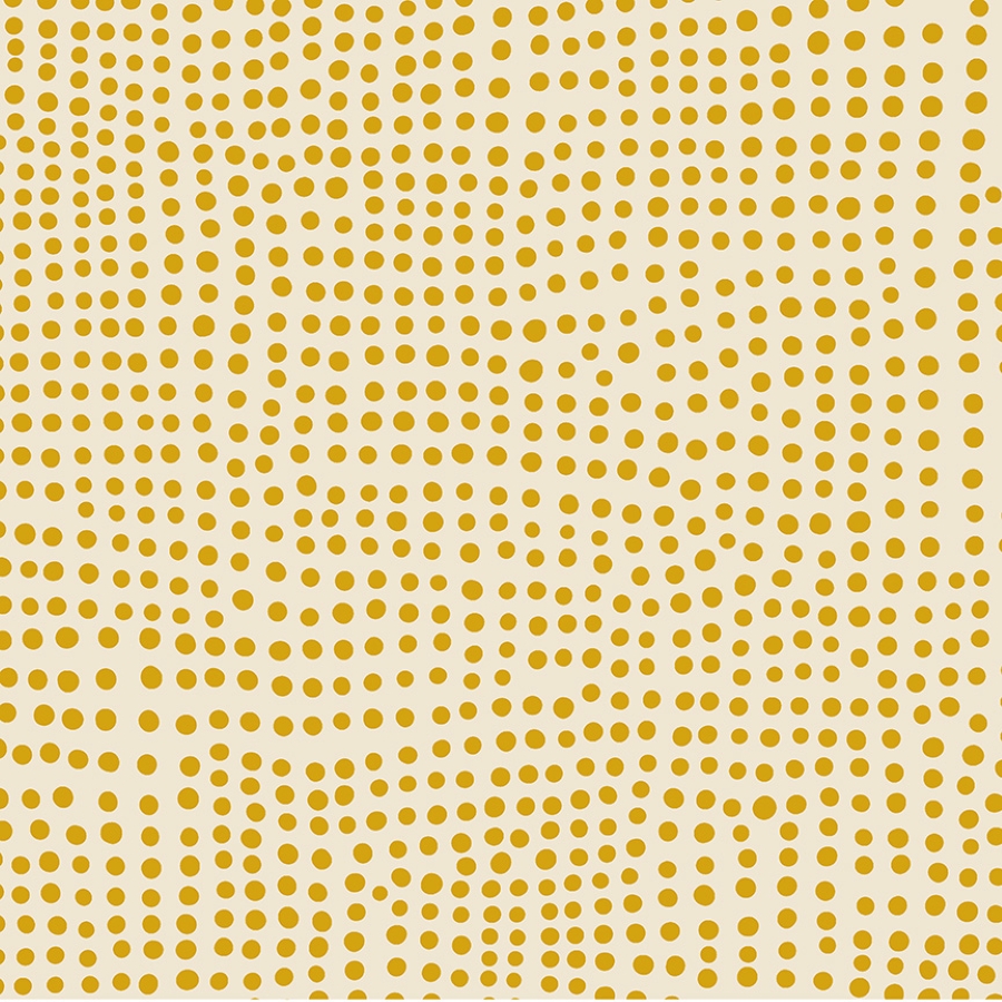 55659-17