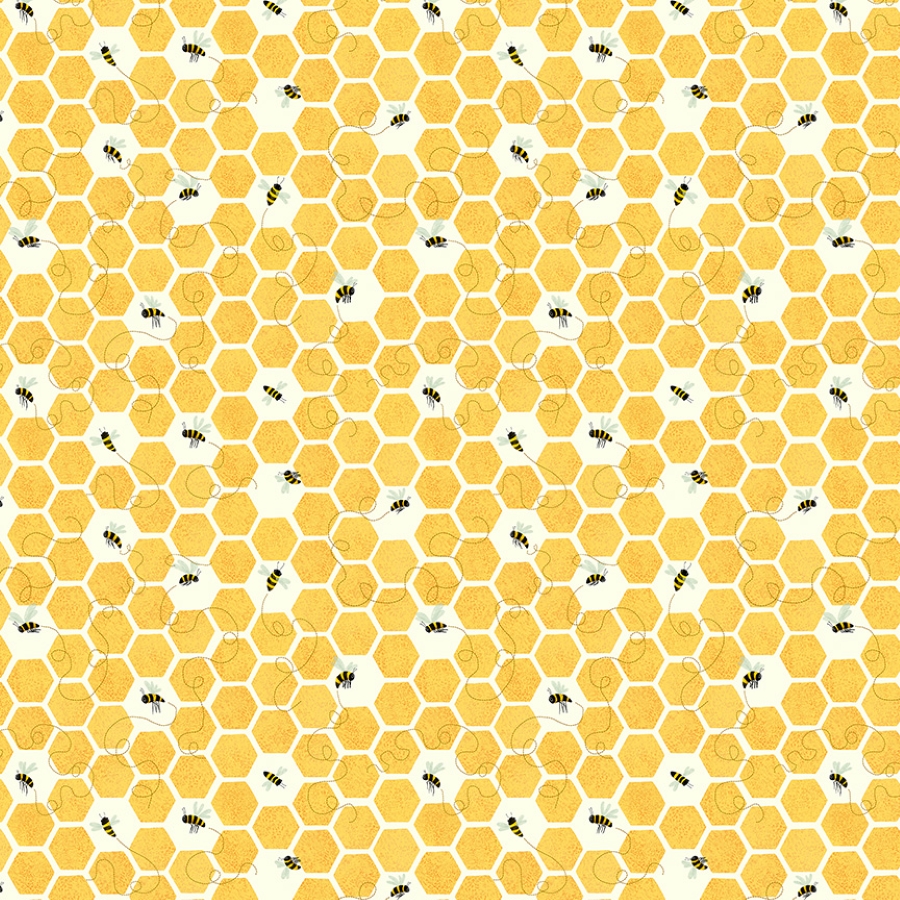 55679-5