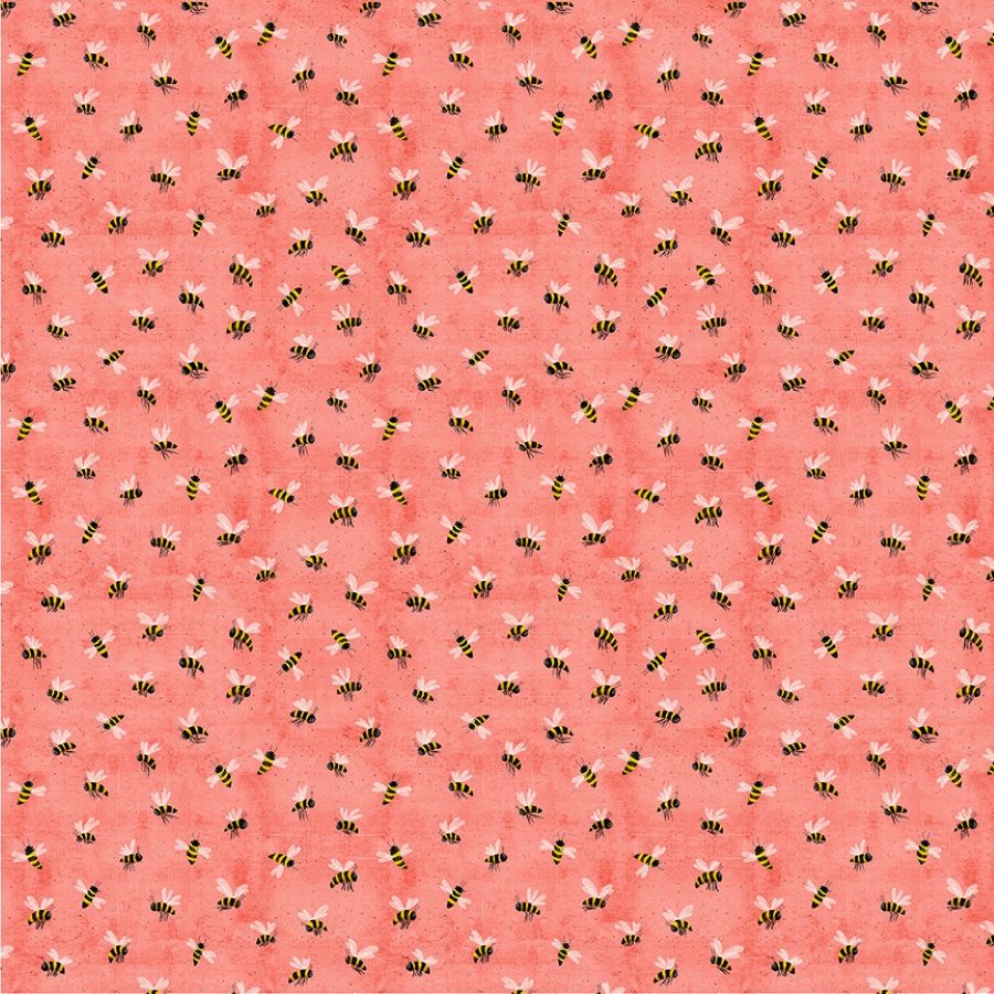 55681-7