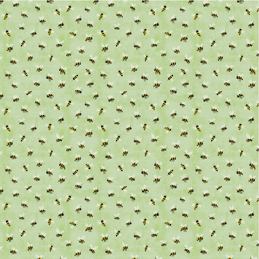 55681-8