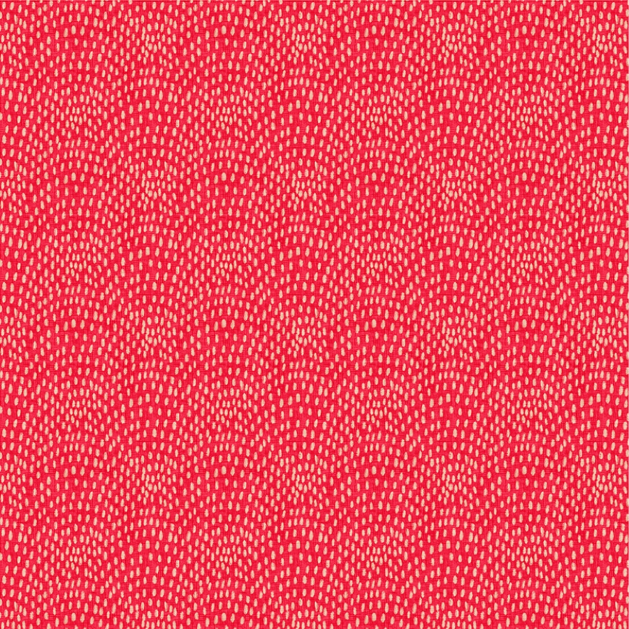55683-10