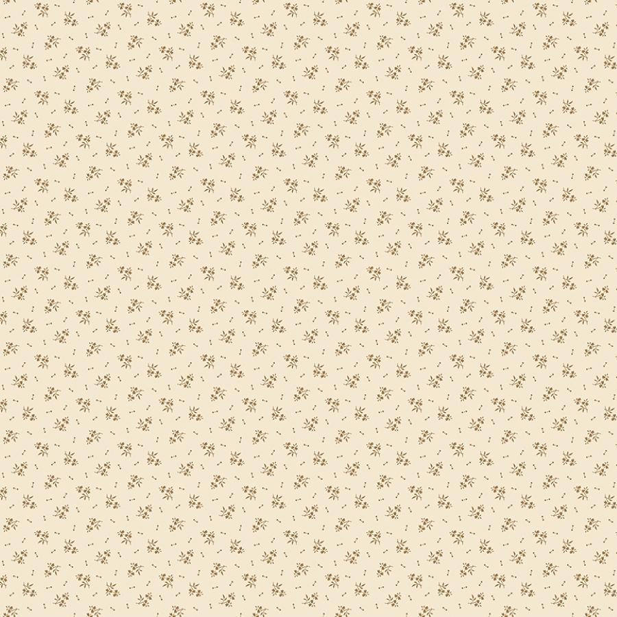 55698-1
