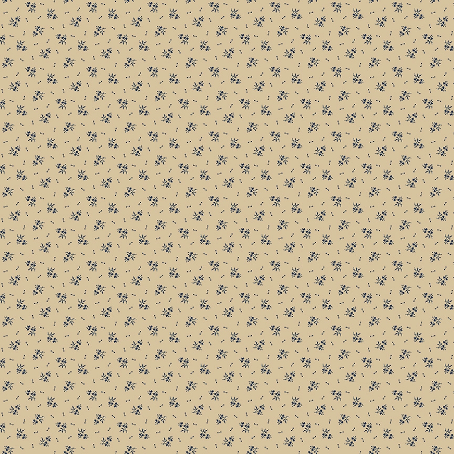 55698-8