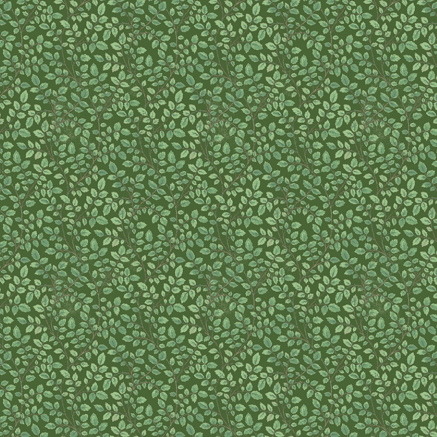 55704-8
