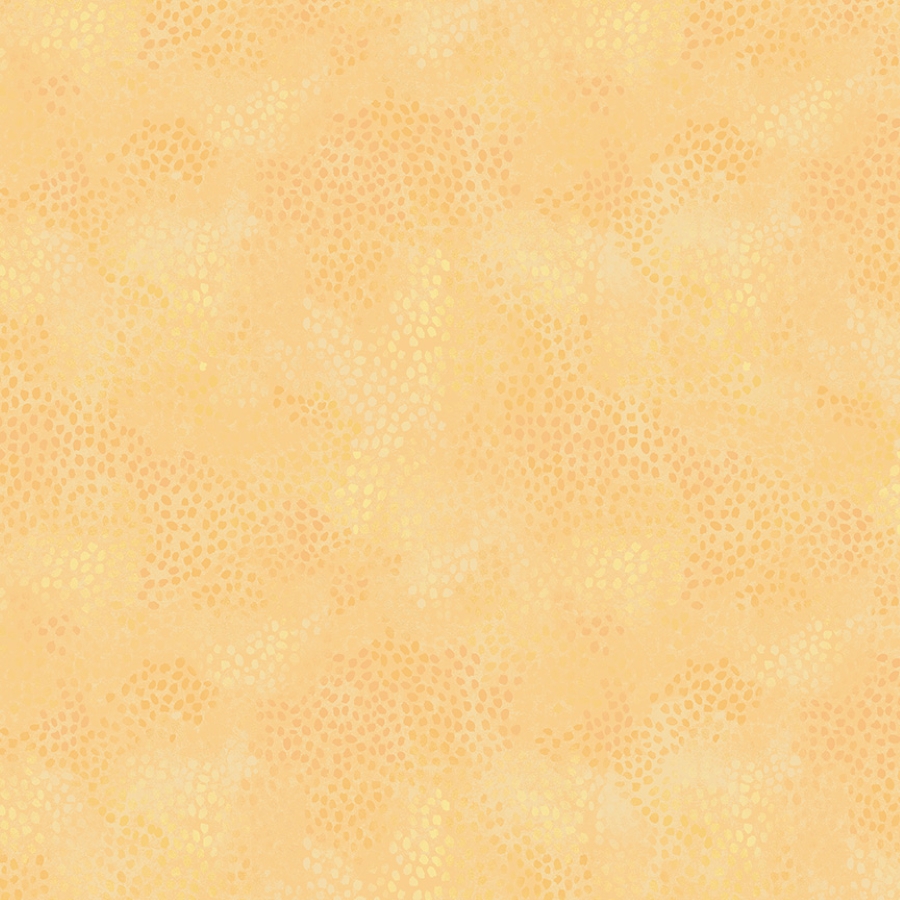 55706-1