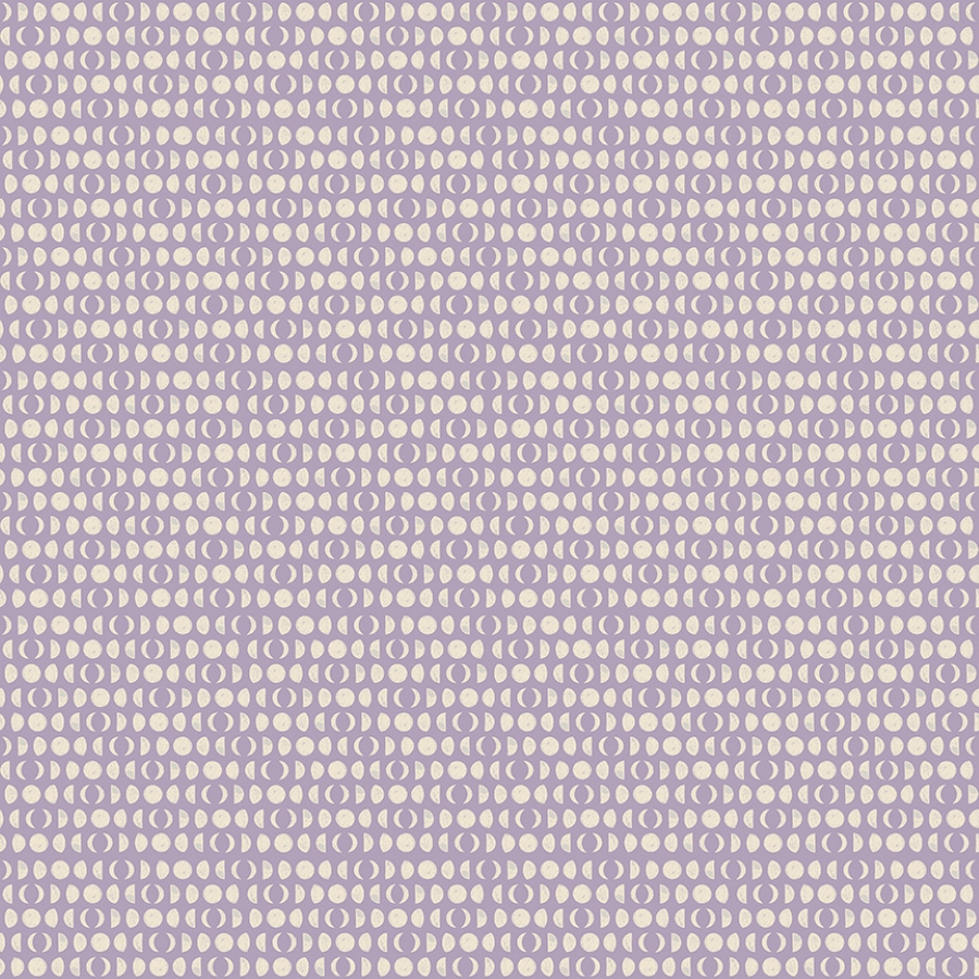 55726-2