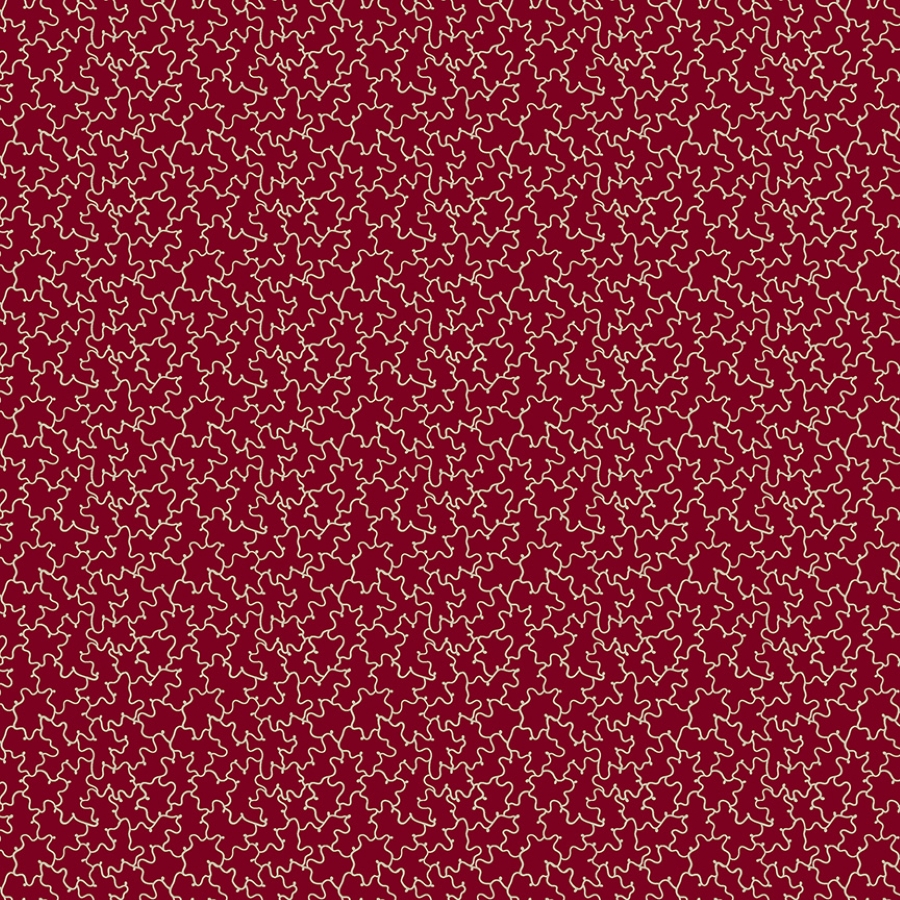 55876-2