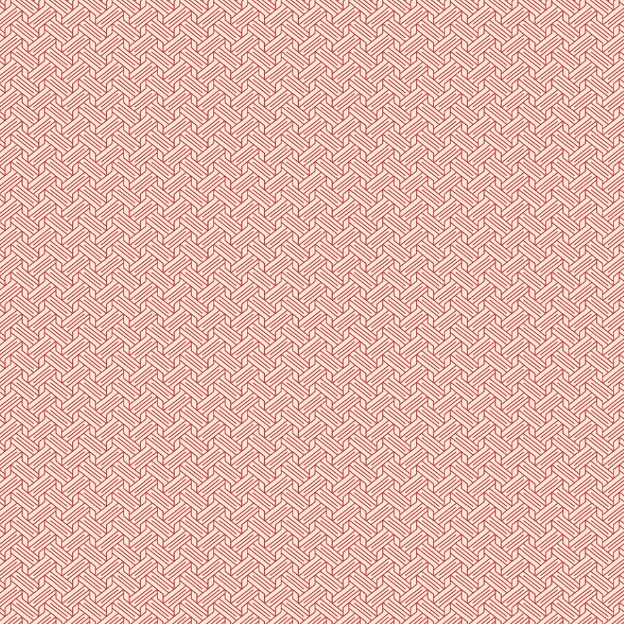 55877-8