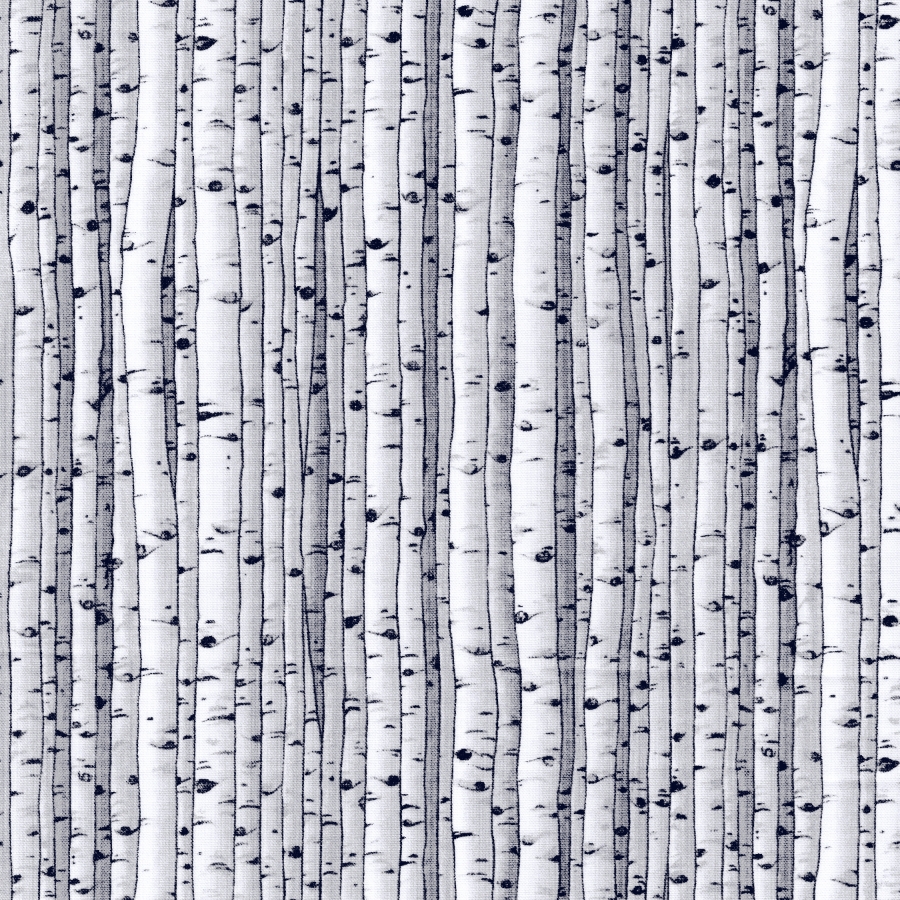 Blank Quilting Collective