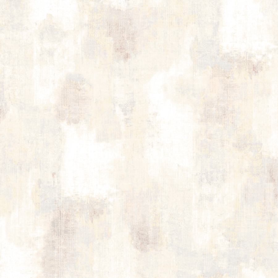 B5278-41