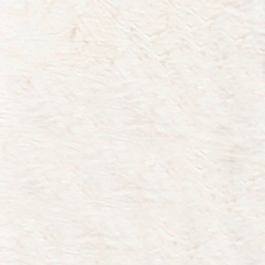 100Q-1645