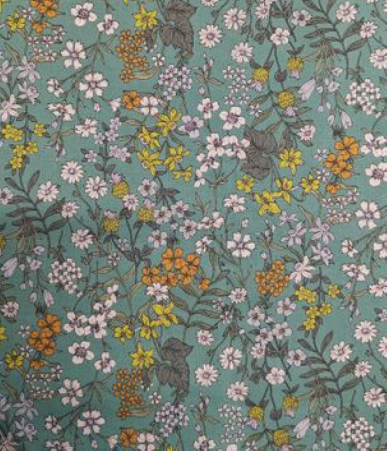 NF-1080-81E