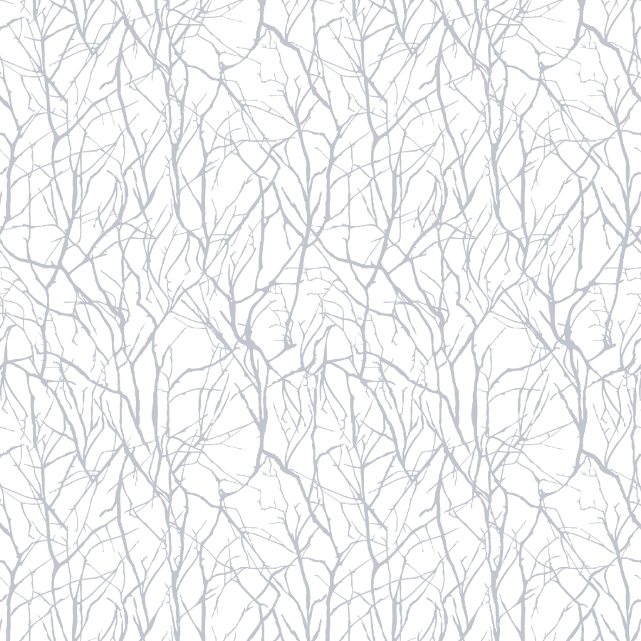 E9672-01W