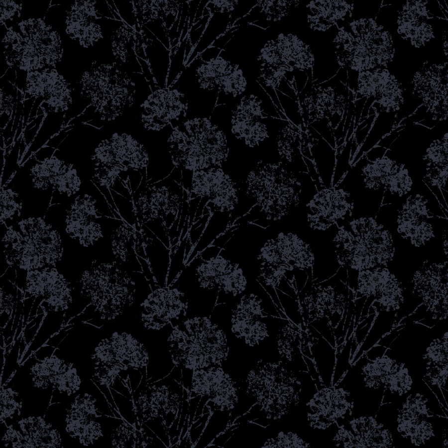 Dark Shadows II